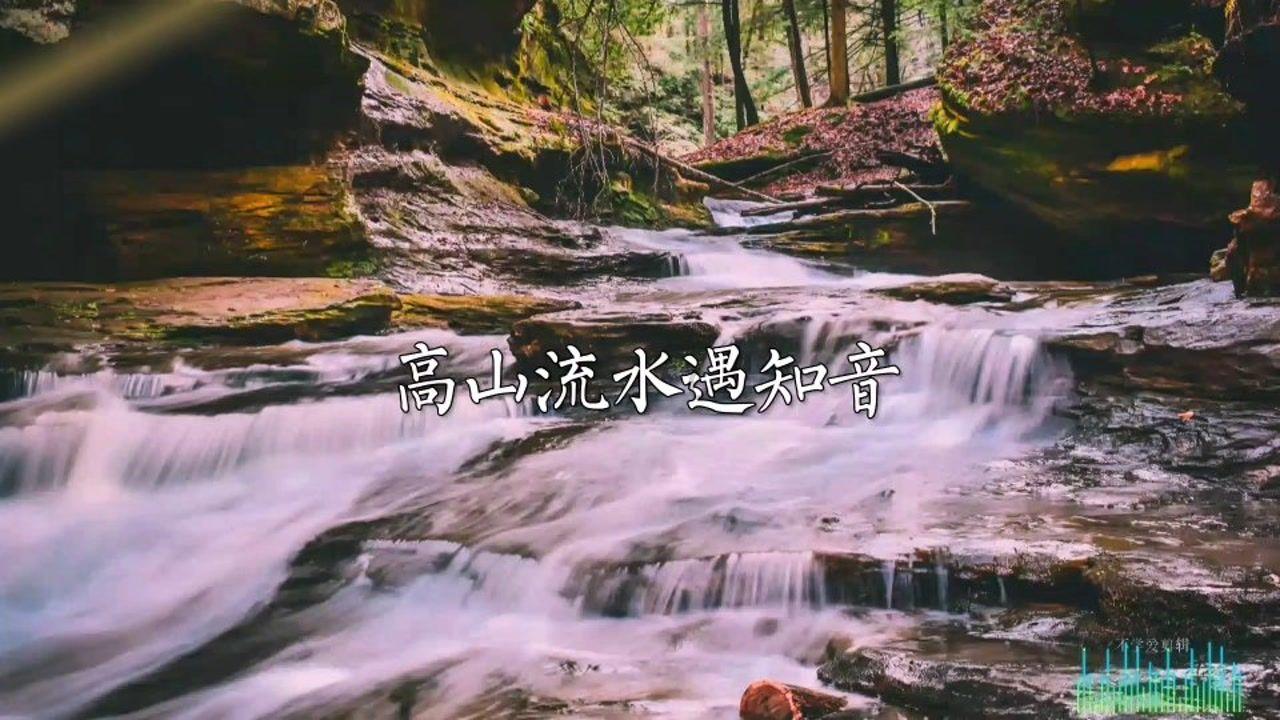 虫虫助手下载
