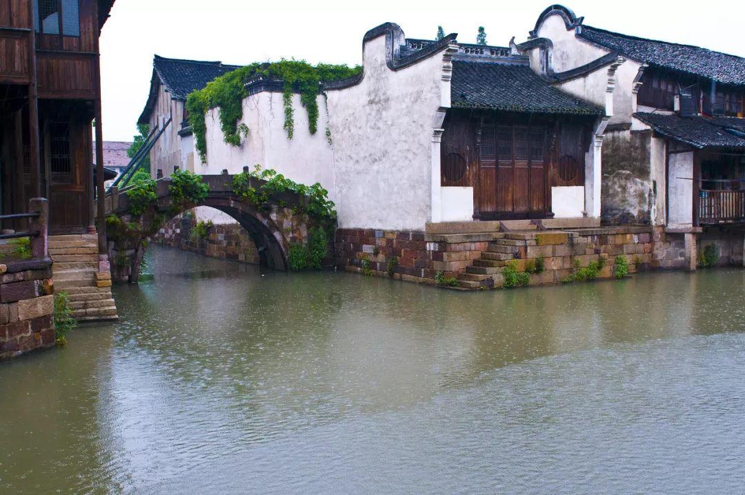 面条有哪些简单又美味绝妙的做法游戏画面